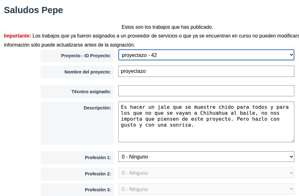 Se muestran los campos para ofertas creadas por un cliente