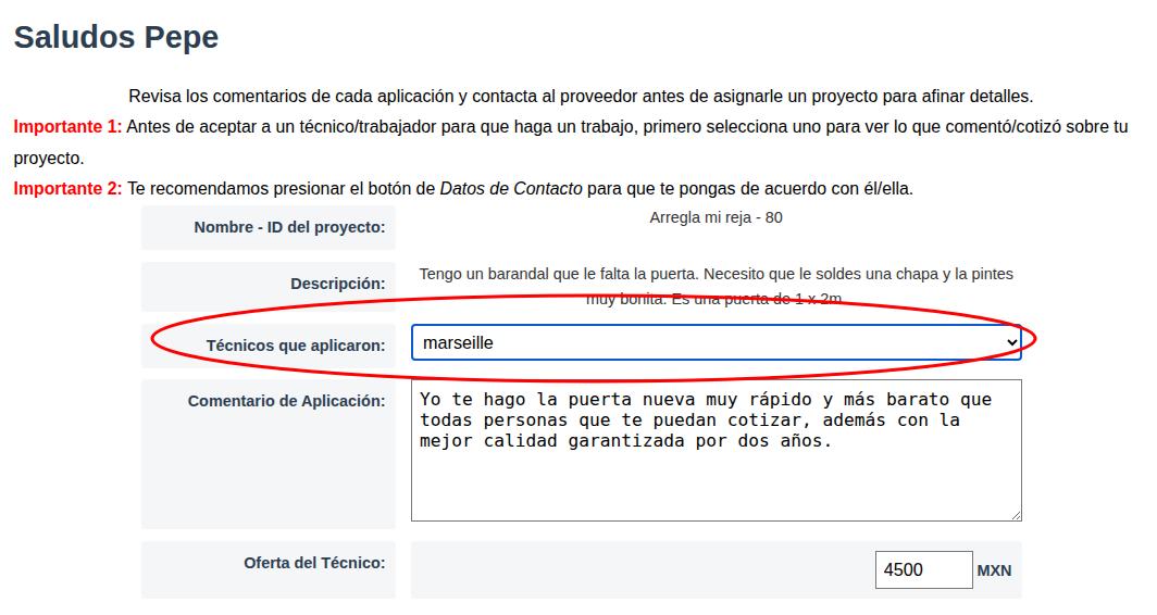 Se muestran los desarrolladores que aplicaron para tu proyecto